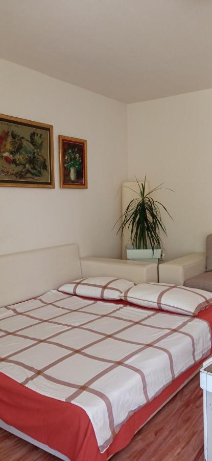 Branysol Apartman Novi Sad Exterior photo